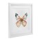 Stupell Industries Warm Watercolor Butterfly Framed Print Under Glass, design by Kim Allen